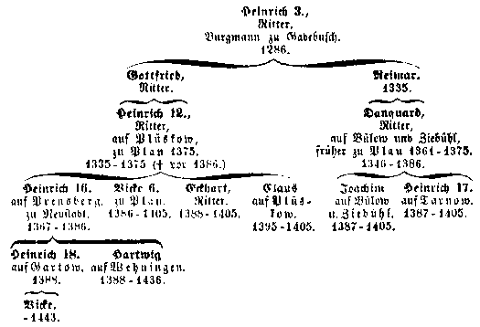 Genealogie der Söhne des Danquard v. Bülow: Heinrich 3., Ritter, Burgmann zu Gadebusch. 1286.; Gottfried, Ritter.; Reimar. 1335.;Heinrich 12, Ritter, auf Plüskow, zu Plau 1375. 1335 - 1375 († vor 1386.); Danquard, Ritter, auf Bülow und Ziebühl, früher zu Plau 1361 - 1375. 1346 - 1386.; Heinrich 16. auf Prensberg, zu Neustadt. 1367 - 1386.; Vicke 6. zu Plau. 1386 - 1405.; Eckhart, Ritter. 1388 - 1405.; Claus auf Plüskow. 1395 - 1405.; Joachim auf Bülow u. Ziebühl. 1387 - 1405.; Heinrich 17. auf Tarnow.1387 - 1405.; Heinrich 18 auf Gartow.  1388.; Hartwig auf Wehningen. 1388 - 1436.; Vicke.- 1443.