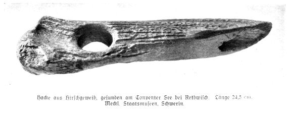 Hacke aus Hirschgeweih, gefunden am Conventer See bei Rethwisch. Länge 24,5 cm. Meckl. Staatsmuseum, Schwerin.