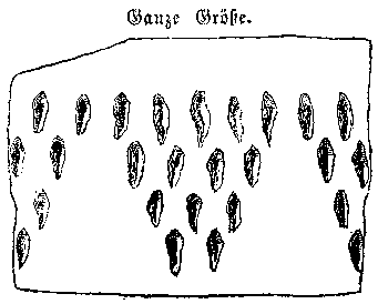 Verzierungen: Gruppen von ganz kurzen senkrechten Strichen unter einander