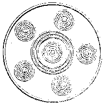 Ornament