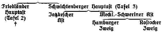 Stammesgliederung